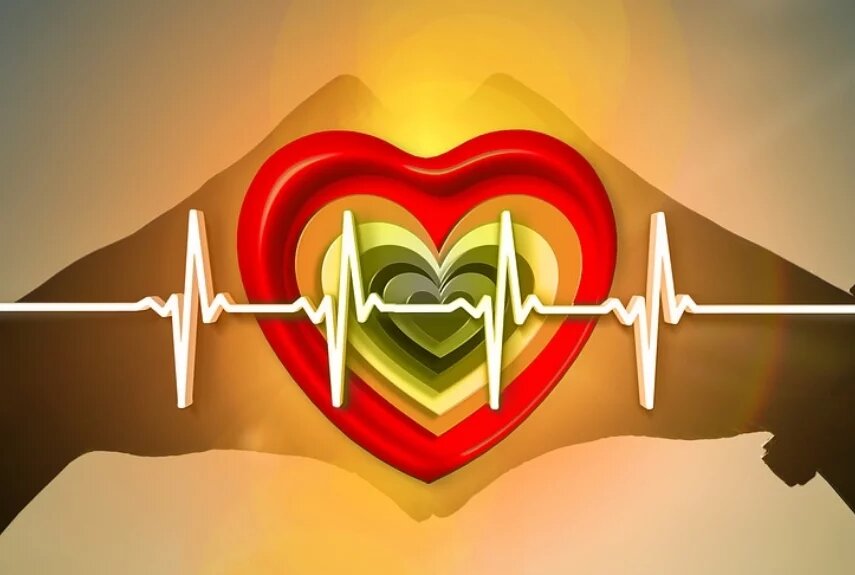 Фото: pixabay.com