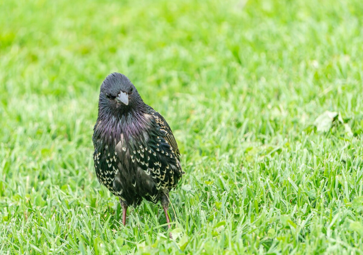 авторское фото