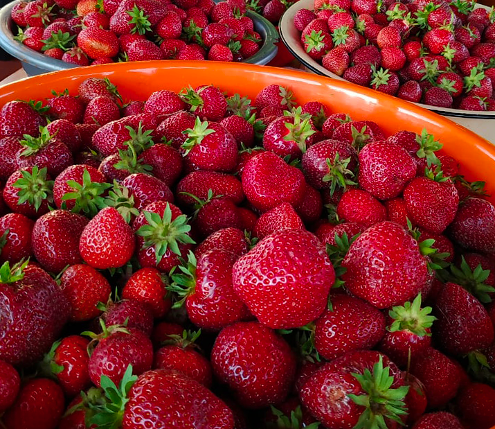 Делюсь своим урожаем.