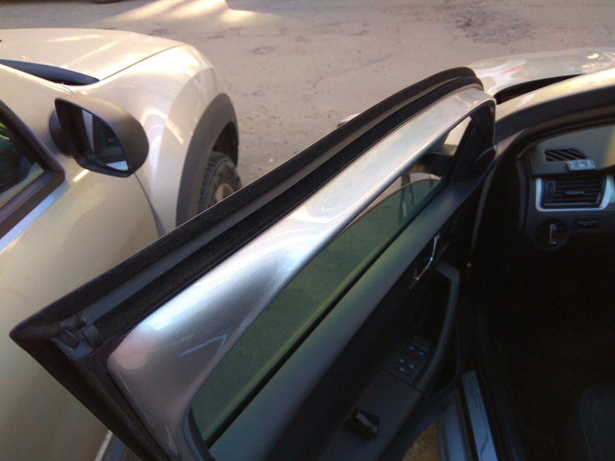 Те самые бархотки, которые идут по конуру оконной рамки двери