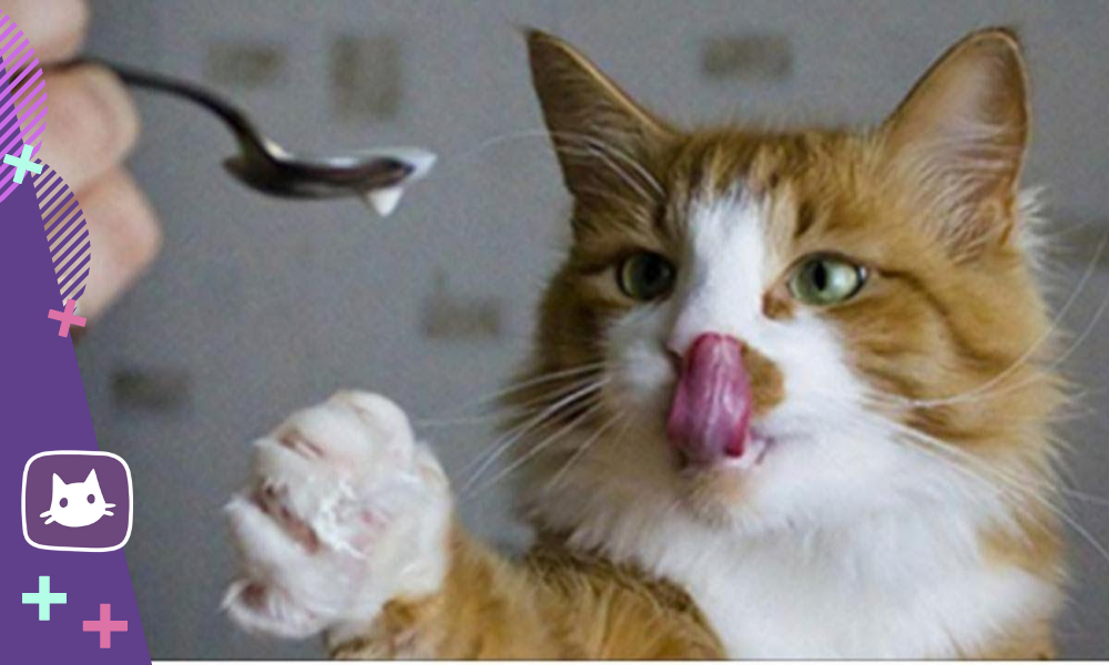 Вредность для здоровья