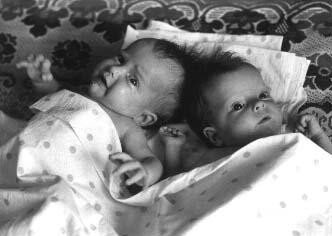 Источник: яндекс.картинки