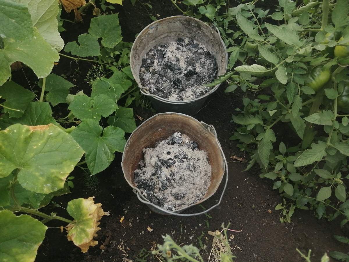 Этого хватит на долго) 