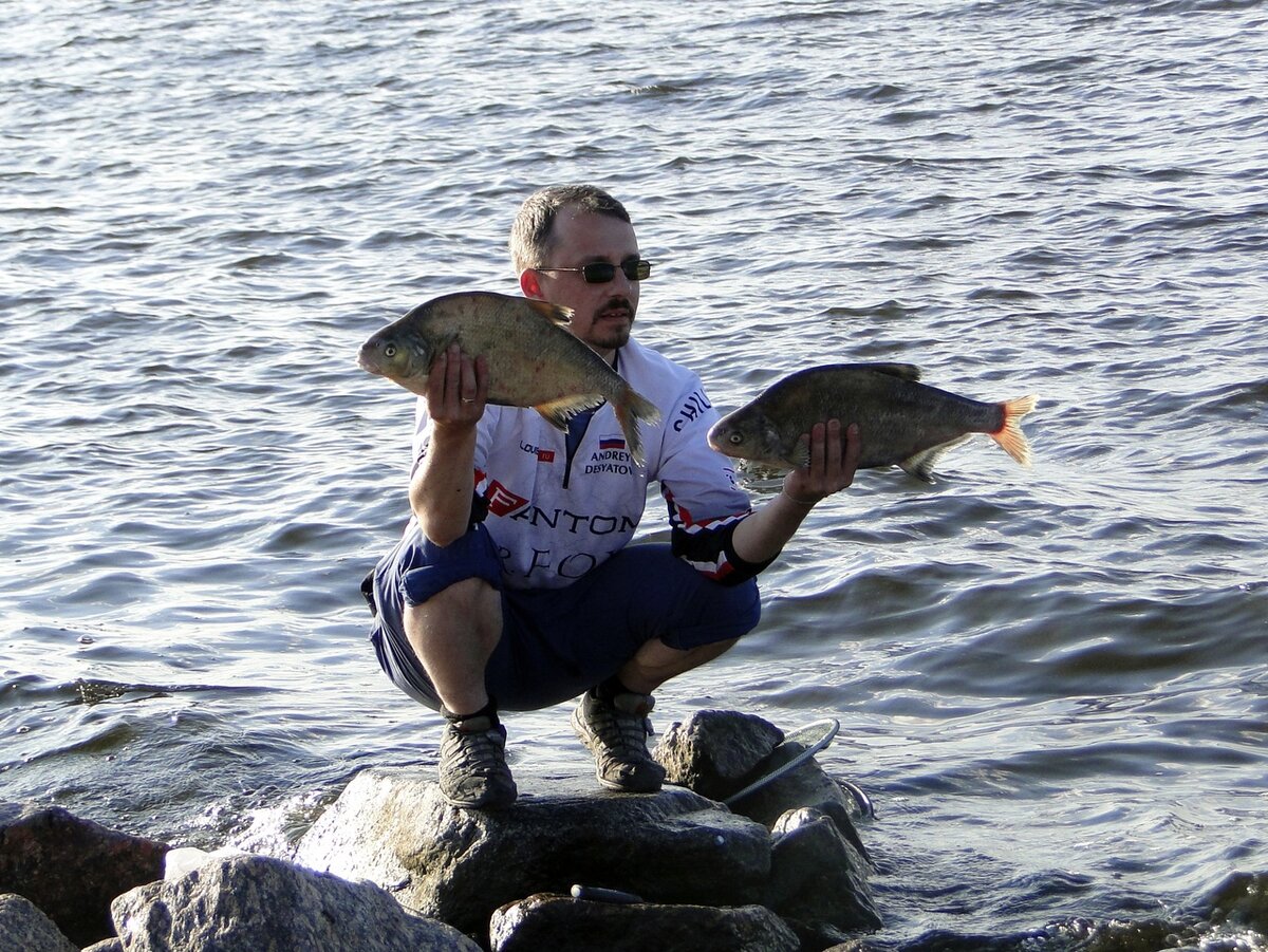 Алешки пойманные на фидер с применением нормальных прикормок и дипов )))