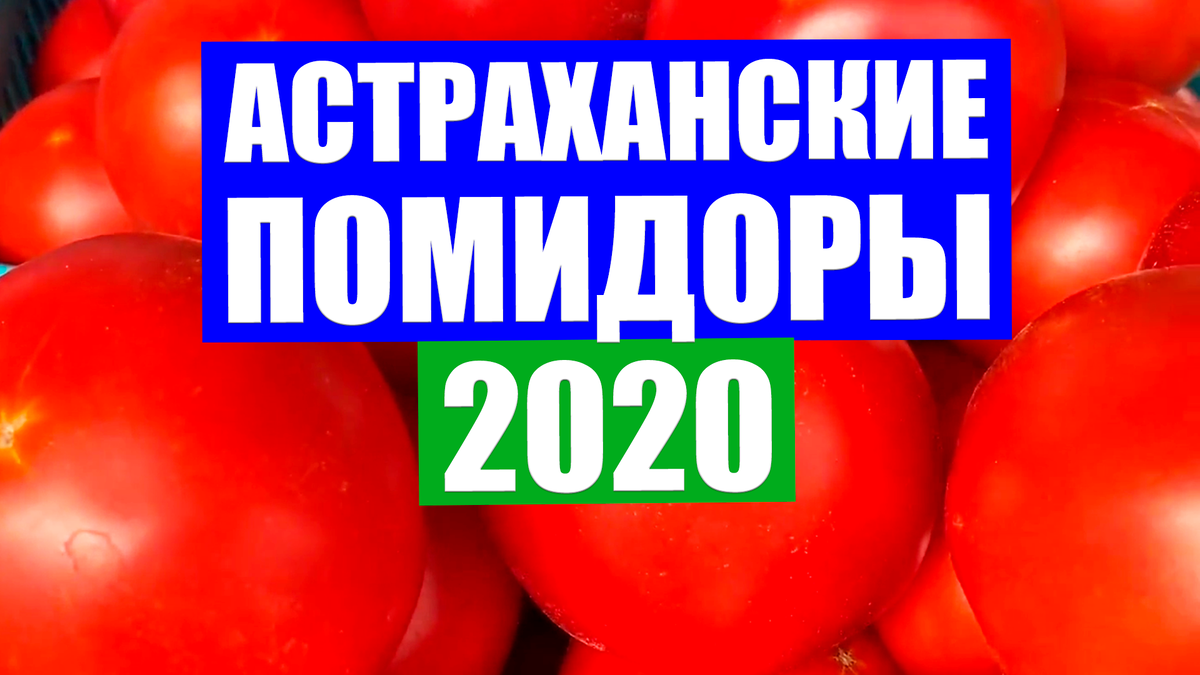 Они самые, астраханские, мясистые и сладкие!