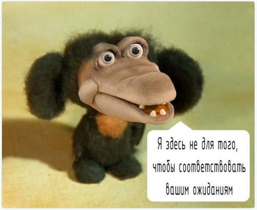 I'm here not to meet your expectations