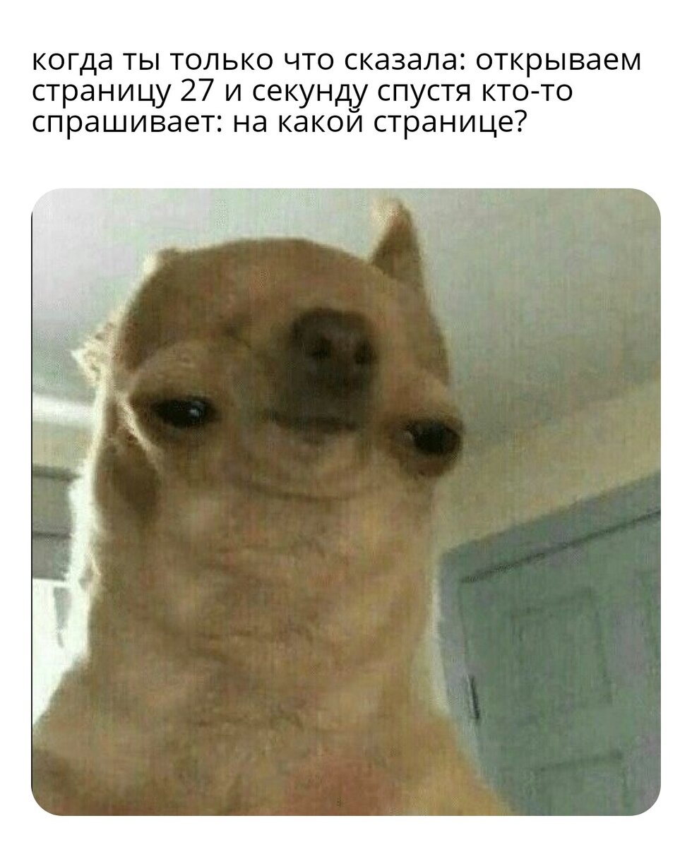И ты терпеливо повторяешь снова и снова...