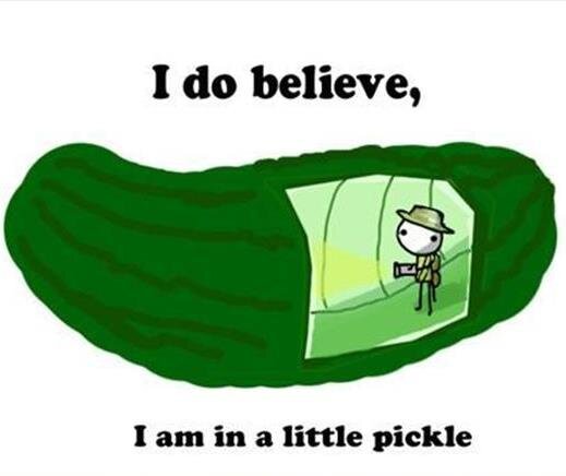 из свободных источников