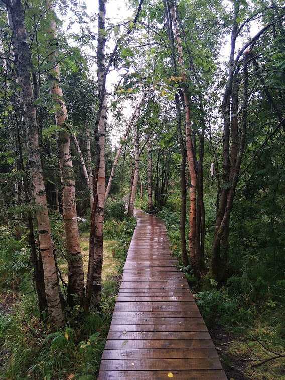 Прогулка в Каменный город