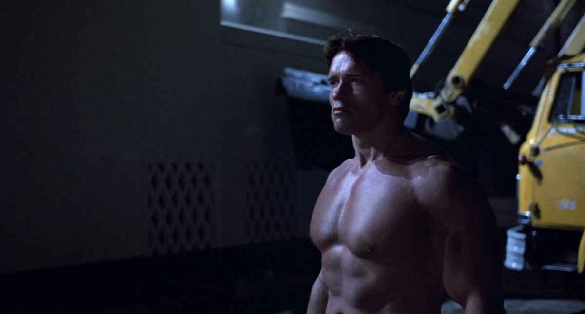 Терминатор в исполнении Арнольда Щварцнегера (источник Яндекс картинки) 