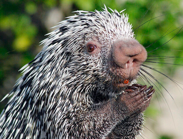 Поставь лайк и подпишись на канал, плиз)))