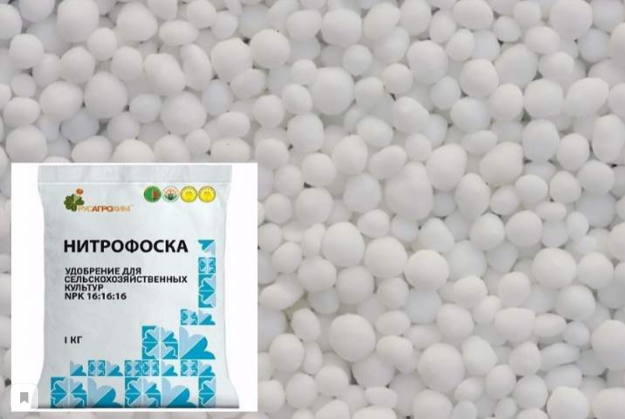 Нитрофоска состав. Сульфатная нитрофоска. Сернокислая нитрофоска. Сернокислая нитрофоска формула. Фосфоритная нитрофоска