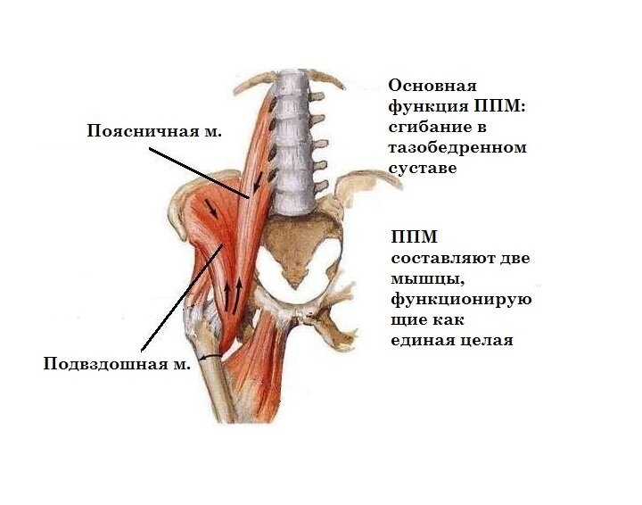 Подвздошно поясничная мышца упражнения