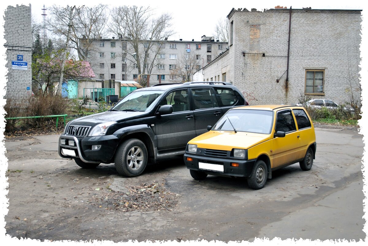 Фото: Автор "Успешный сын в гостях у отца"