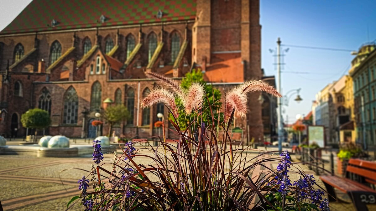 фото Максим Григоренко