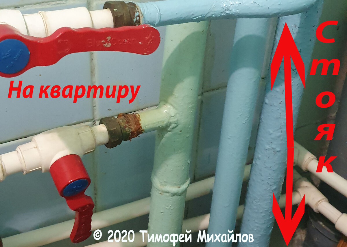 Правильный ответ:  Вертикальные трубы в квартире, выходящие к соседям