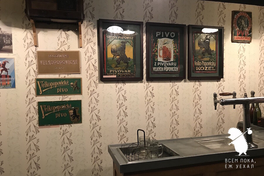 Фото: "Всем пока, ёж уехал"