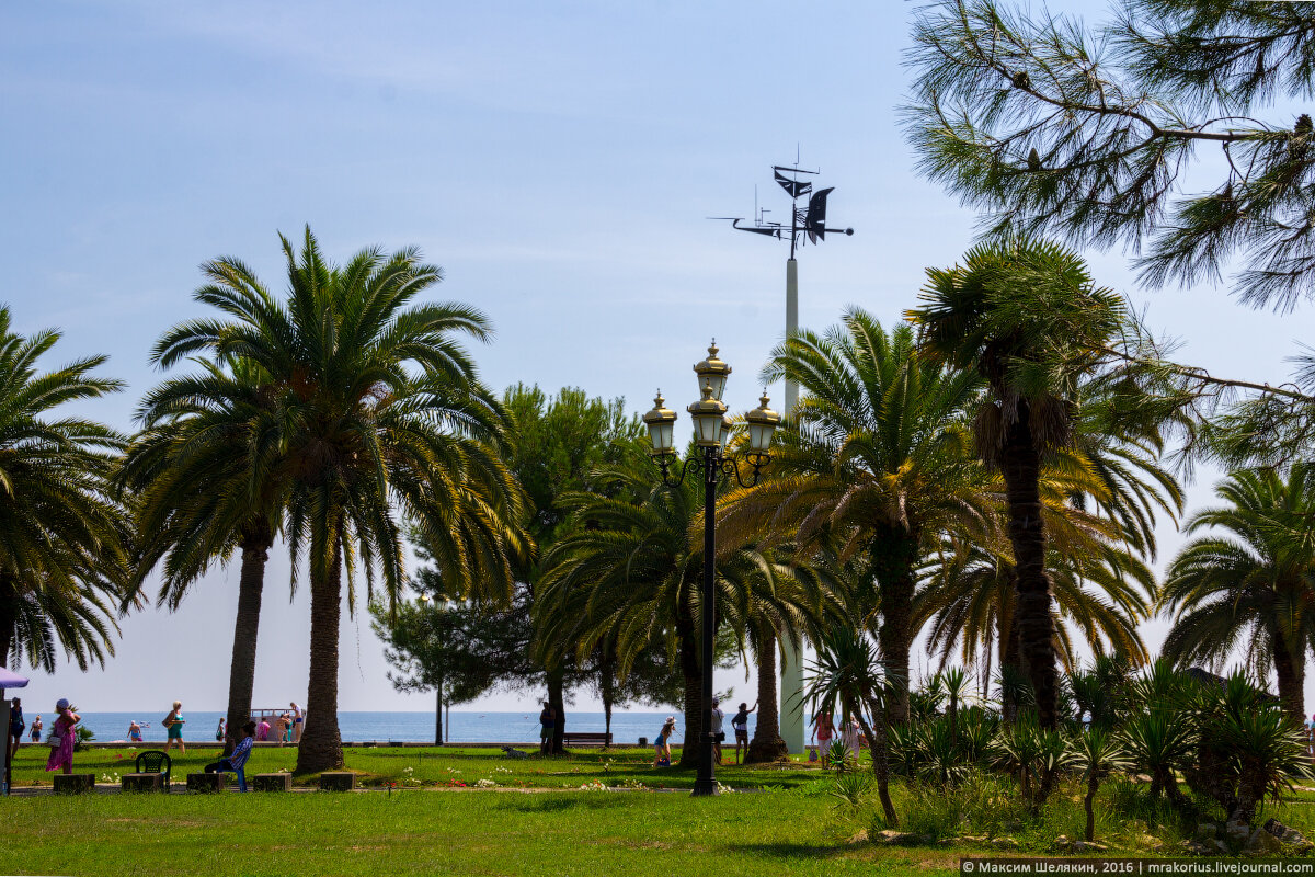 Источник Яндекс Картинки