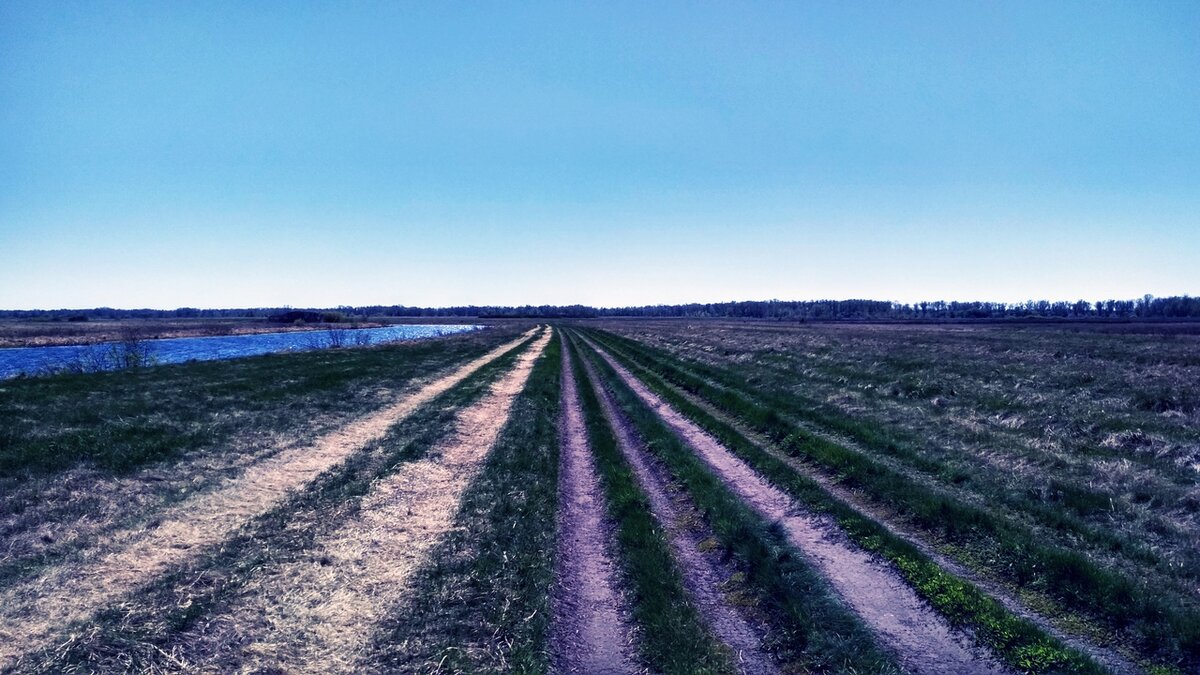 Картина - Моя колея...