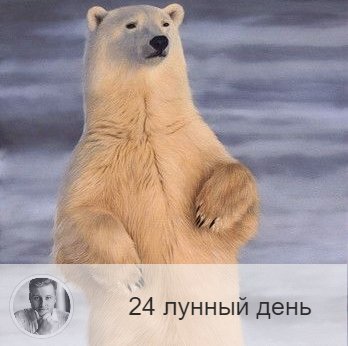 Подписывайтесь на наш канал, друзья!
24-ый лунный день с 01:29 7-ого по 02:58 8-ого. 🔆 Время пробуждения силы.
🐻 Символ дня – медведь.
🎂 Люди, рождённые в этот лунный день, несут в себе огромный энергетический потенциал, они могут быть магами и делиться с людьми энергией на всех уровнях. Это происходит бессознательно, но такие люди обычно чувствуют потребность поделиться энергией с окружающими.
💍 Камни - малахит, обсидиан.
🌞 Этот день связан с мужской энергией, подобно тому, как 17-й - с женской. Идёт процесс разрушения старого и создания нового. День может принести пробуждение огромных сил и стать днём откровения, если не культивировать в себе уныние и отчаяние. Время благоприятно для закладывания фундамента, строительства дома, начала ремонта.
Сегодня легко совершить поступок, на который раньше у вас не хватало сил, мужества и отваги.
✅ Рекомендуемые практики: физические нагрузки, очищение от разрушительных мыслей.
В этот день часто всплывает родовое проклятие, если оно есть. Поэтому надо быть очень внимательным ко всему происходящему. Нельзя допускать, чтобы в этот день вас охватило чувство безысходности. Для реализации энергии этого дня требуются физические нагрузки и упражнения, если этого не будет, то доступ в организм земных энергий может стать затруднен, что чревато потерей ориентиров в жизни, а на физическом уровне - проблемами с прямой кишкой.
24-й лунный день благоприятен для лечения всех болезней экстрасенсорными методами. Хорошо приготавливать лекарства, травяные сборы.
❌Запрещено: массовые мероприятия, авантюры.
В этот день не рекомендуется быть в толпе, ходить на митинги, демонстрации. День опасен проявлениями жестокости, а так же обратными процессами: дела, начатые в этот день, могут перевернуться, и результат может оказаться противоположным. Если не уверены в себе, то не начинайте и не пускайтесь в авантюры.
⭕️Уязвимые органы: таз.
💤 Если сегодняшний сон неприятен, значит подавлена ваша сексуальная энергия.

—————
Знание о будущем уже в настоящем!
👉 numeromagic.ru/uslugi