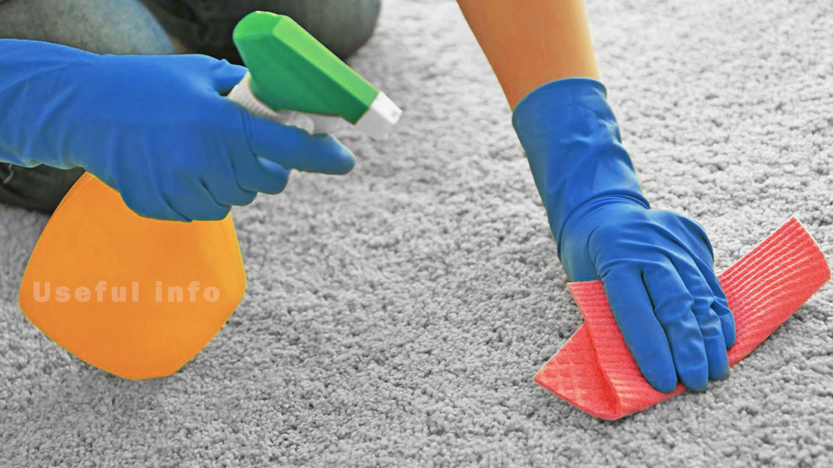 Как избавиться от запаха мочи на ковре 