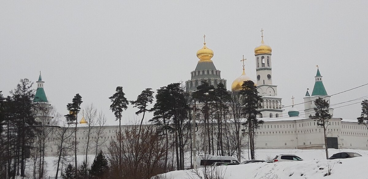 Гефсиманский сад в новоиерусалимском монастыре фото