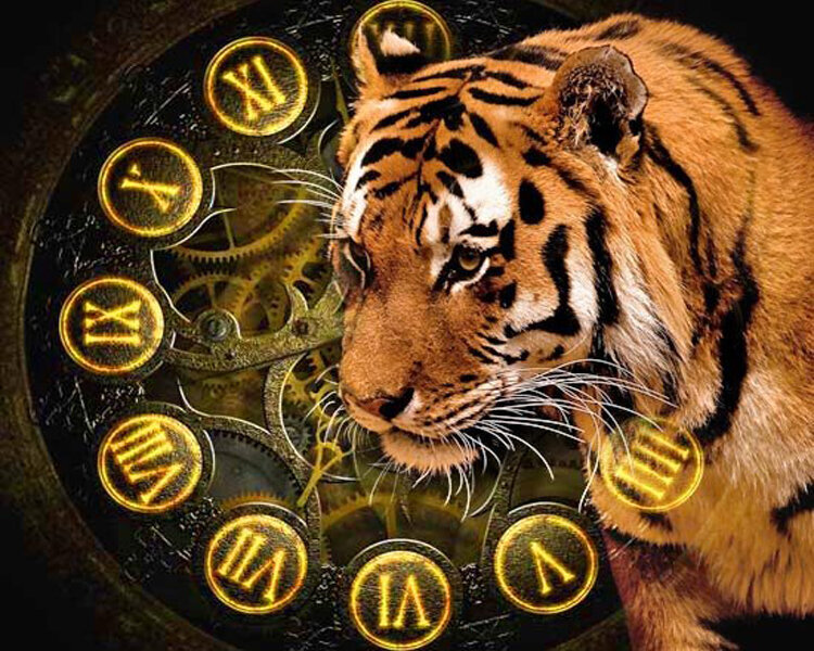 Тигр - характеристика по Восточному гороскопу