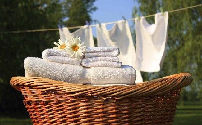 фото из свободных источников