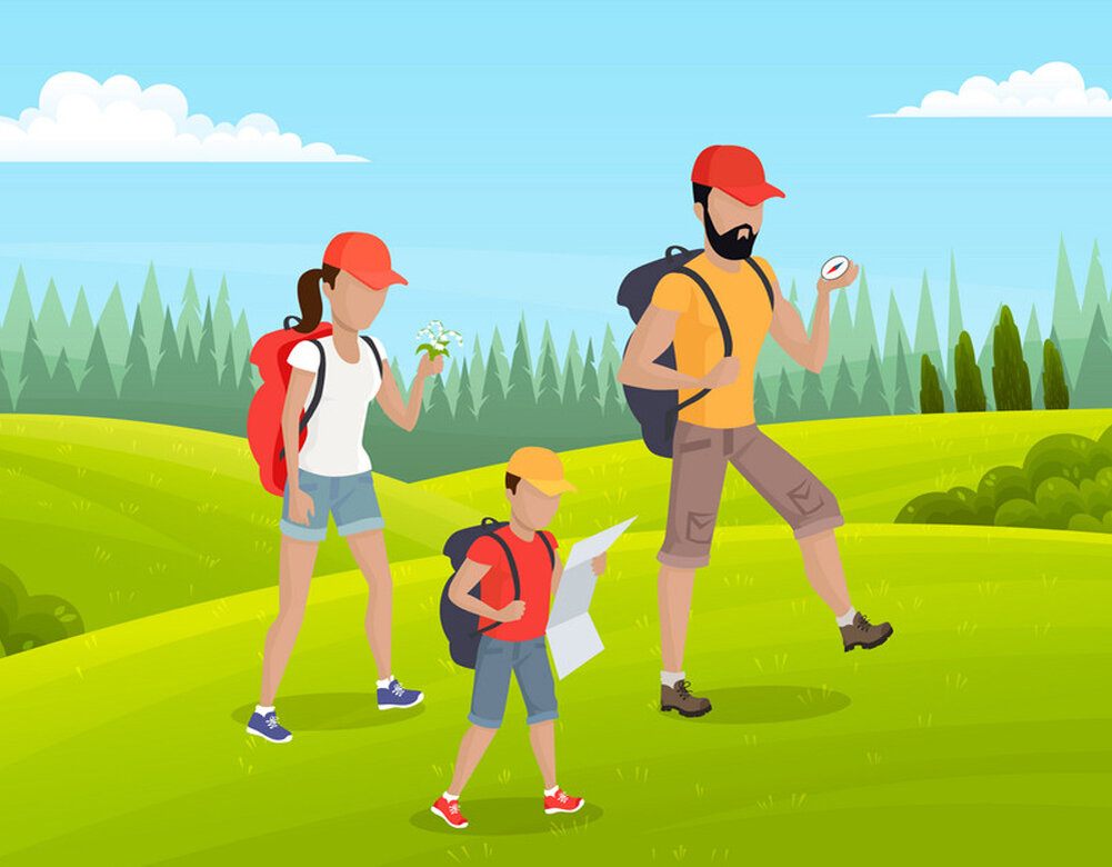 Рисунок из открытых источников сети интернет.