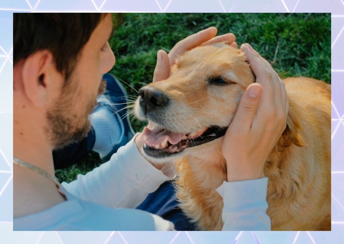 - Ах, ты моя подруга верная (фото Canva)