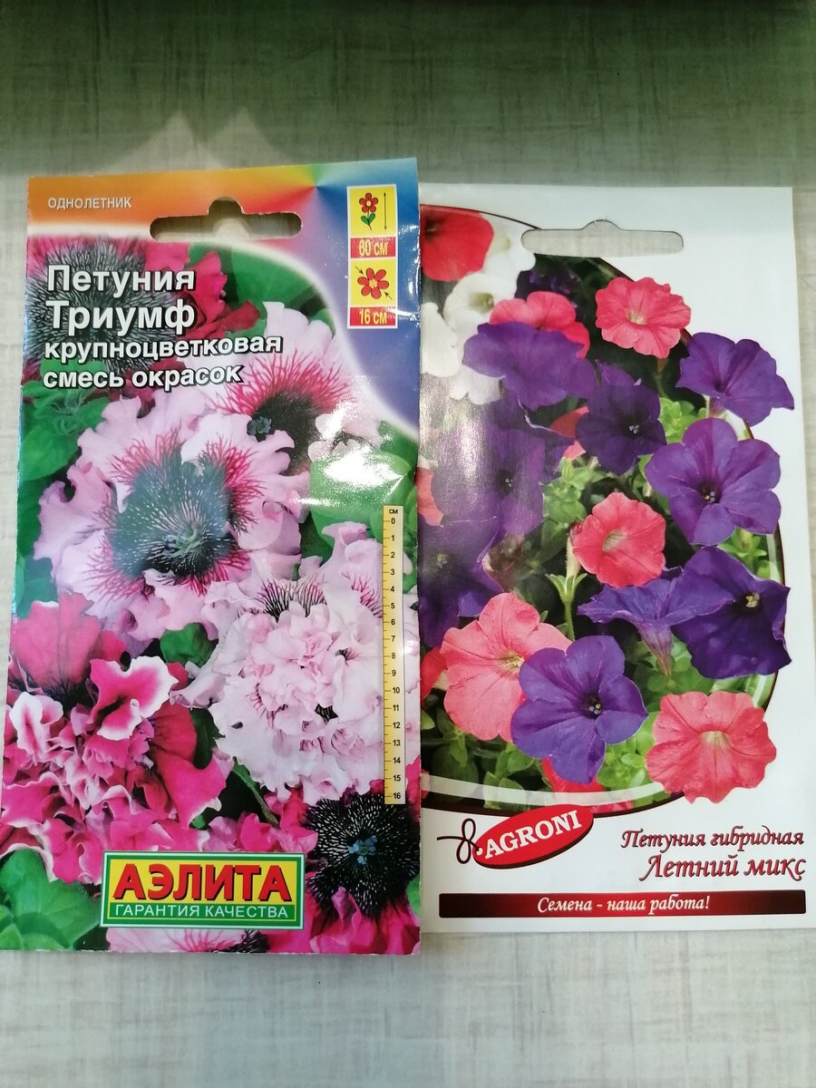 Вот такие два сорта я решила посадить первый раз в этом году. Фото автора