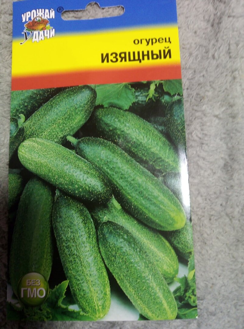 Огурец. Сорт "Изящный"