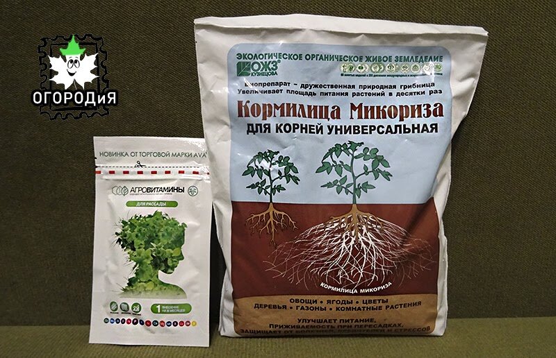 Наши помощники для ранней рассады