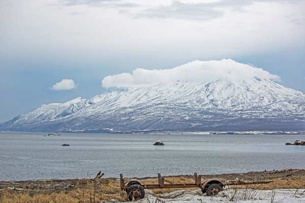 Фото: Максим Федоров/ТАСС