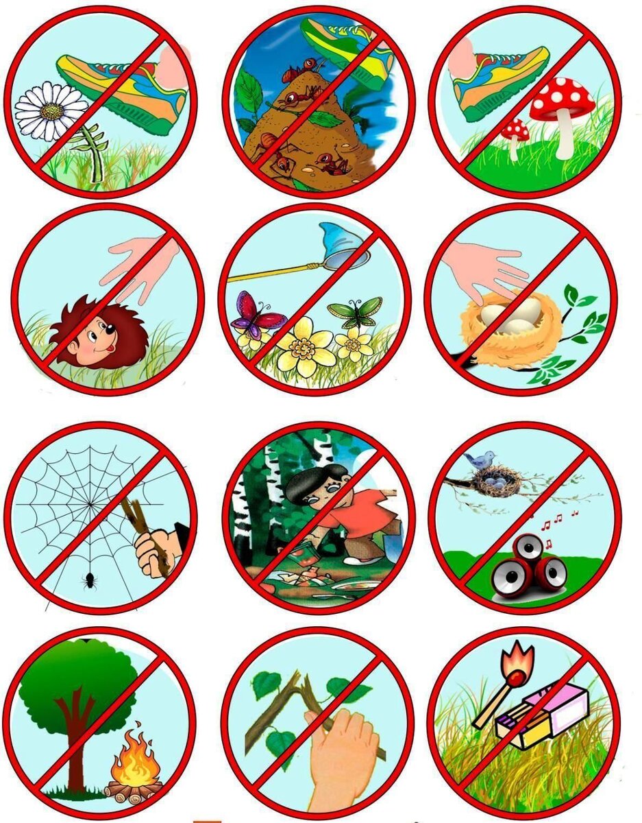 Картинку взяли с сервиса Яндекс картинки.