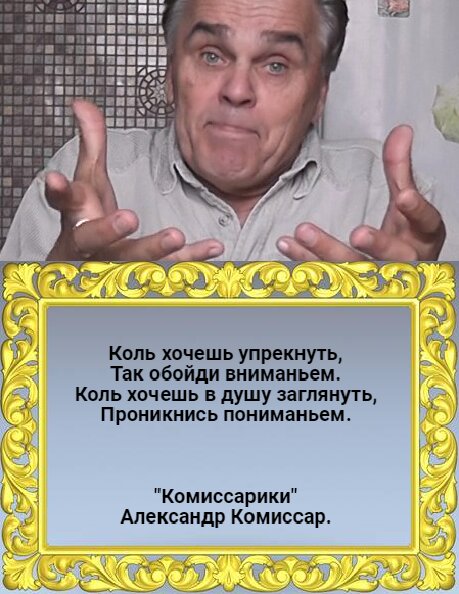 Комиссар дзен