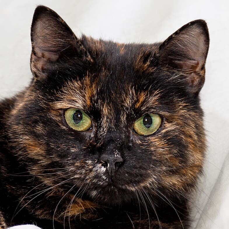 Глаза - потрясающие!!! Правда ведь? 