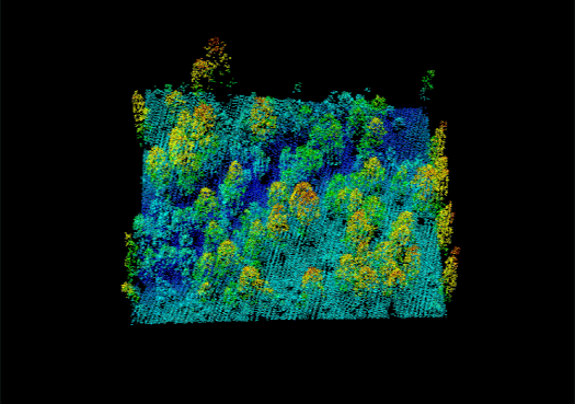 Отображение участка лесного массива в специальной программе для обработки данных с LIDAR  / Изображение взято из блога dji-blog.ru 