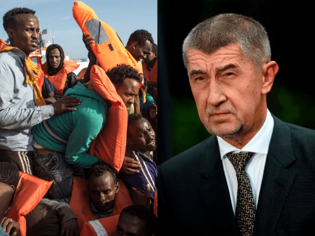 Андрей Бабиш (справа) - премьер-министр Чехии