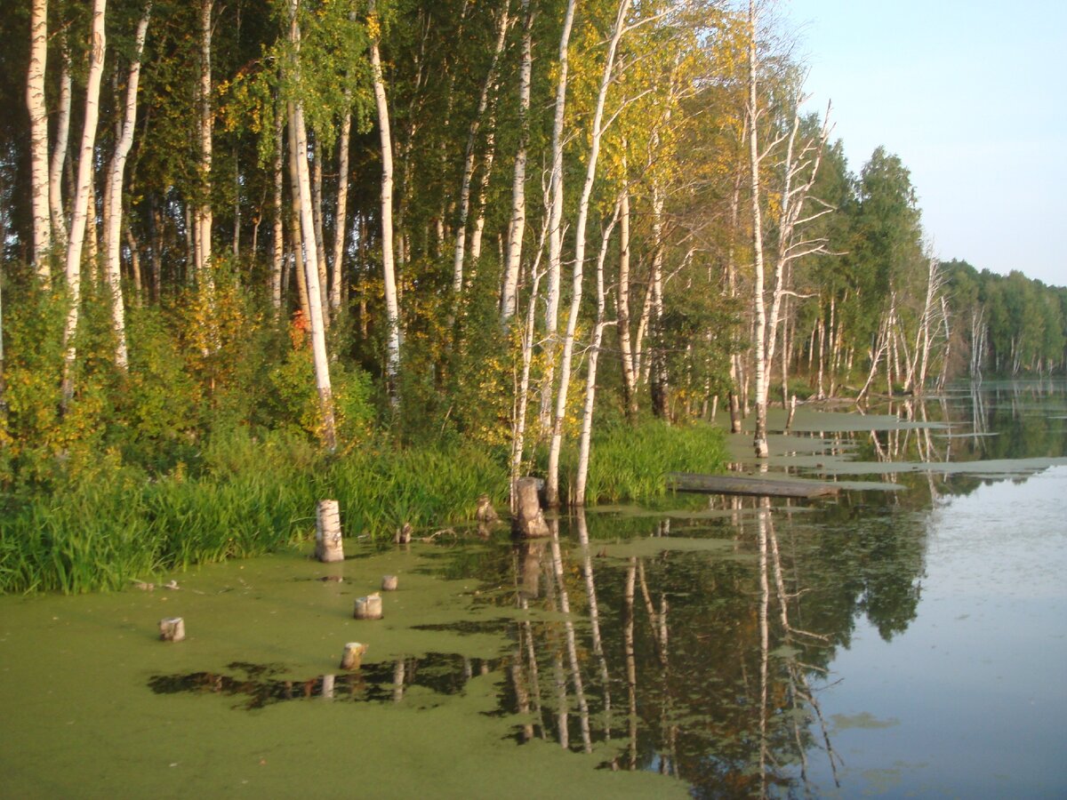 Есть такое место не далеко от огромного мегаполиса, место отдыха и встречи добрых людей и друзей.