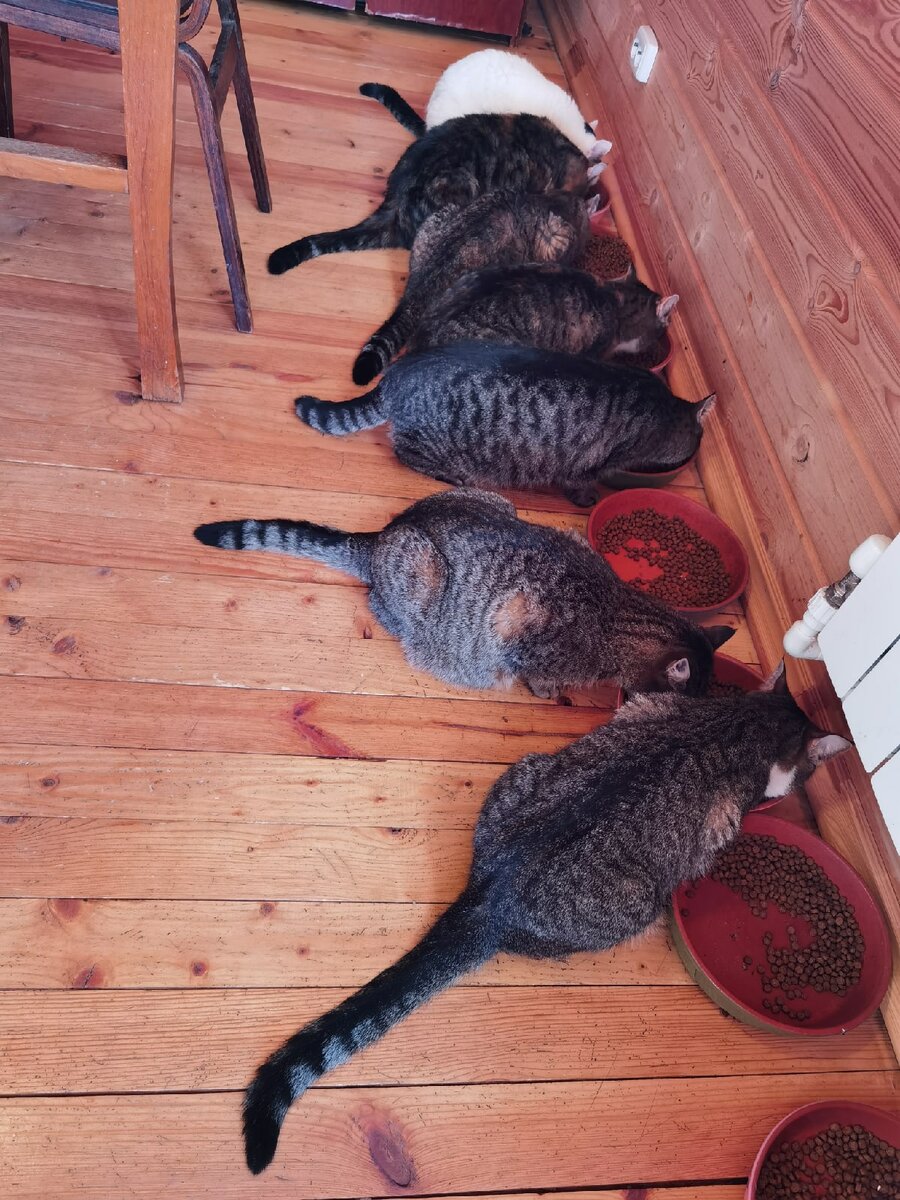 Хорошо сидят 