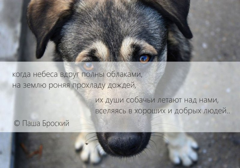 Итоговая картинка. 