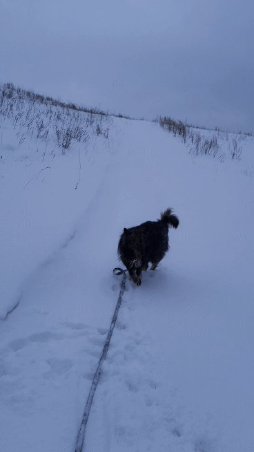 Дорога на холм