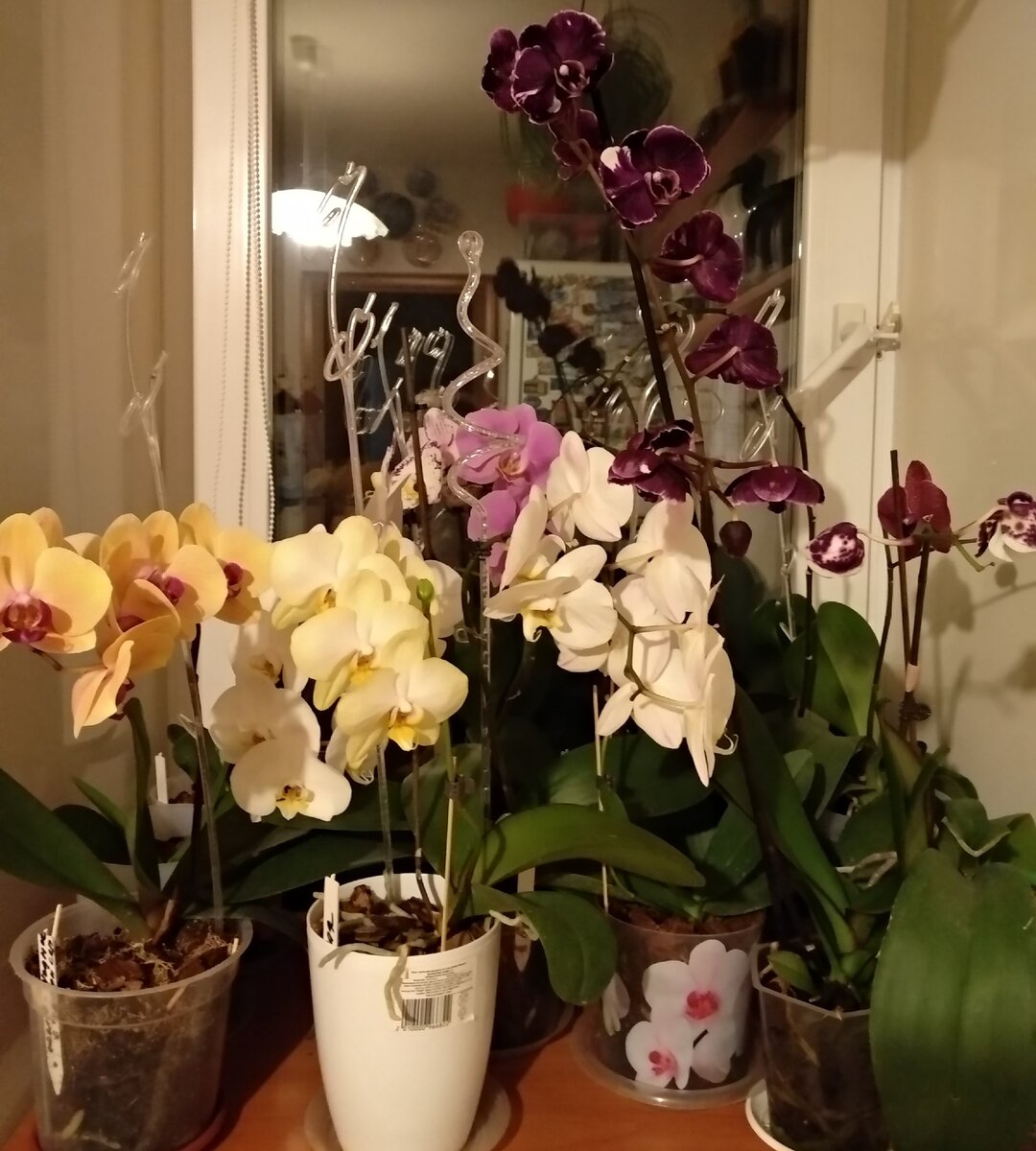 Моё окошко летом