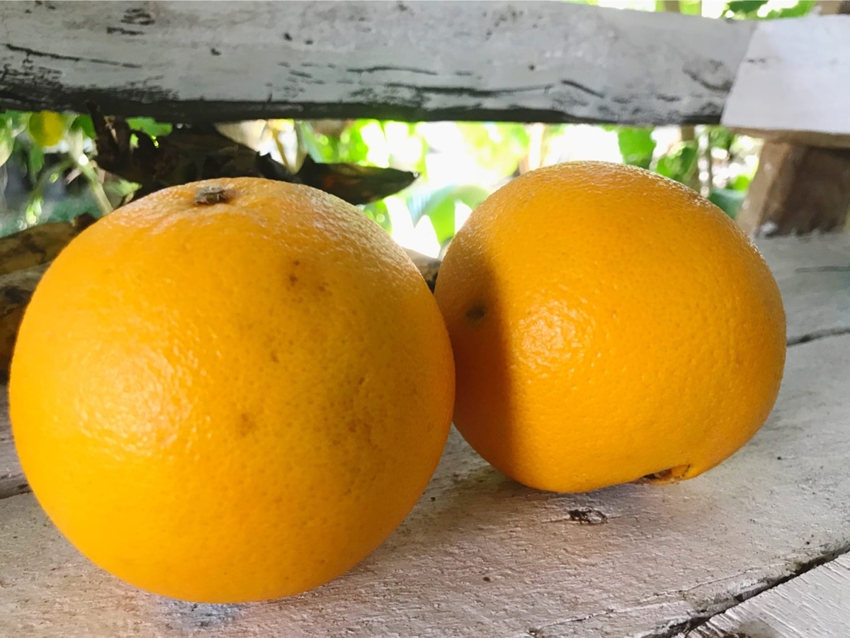 Ваше сочнейшество!