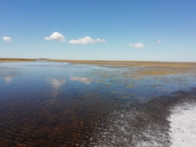 Лиман. Фото: http://azniirkh.vniro.ru/