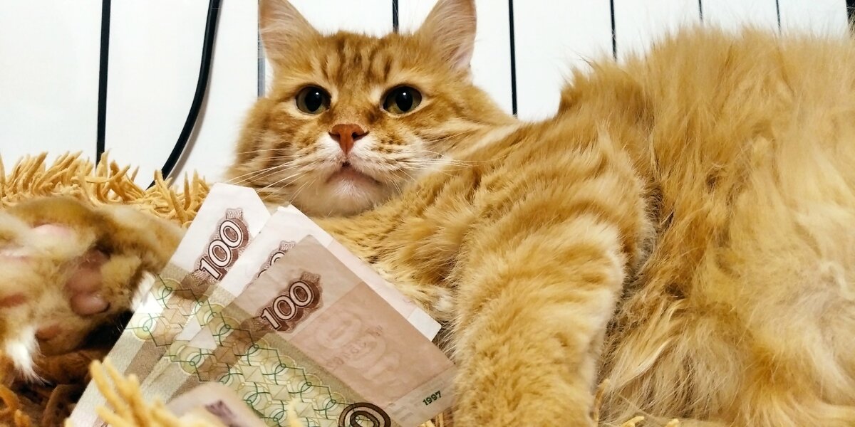 Рублик не болей