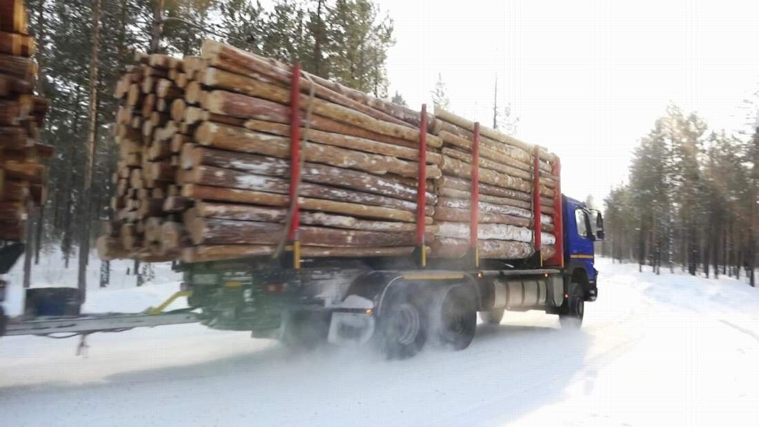 С территории Красноярского центра строительства вывозится кругляк, хотя по условиям инвстпроекта древесина должна перерабатываться на месте