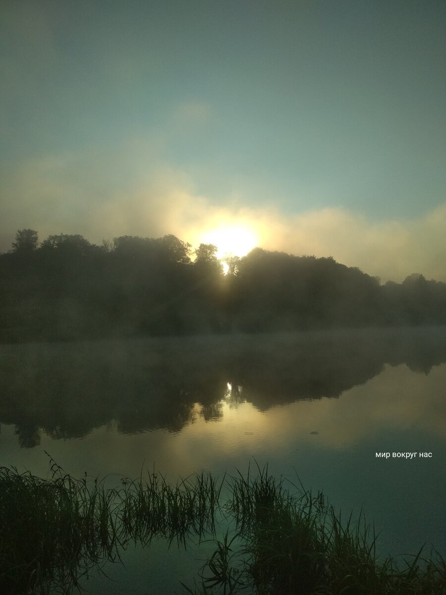 Утро.Тишь да гладь.Вода как зеркало...