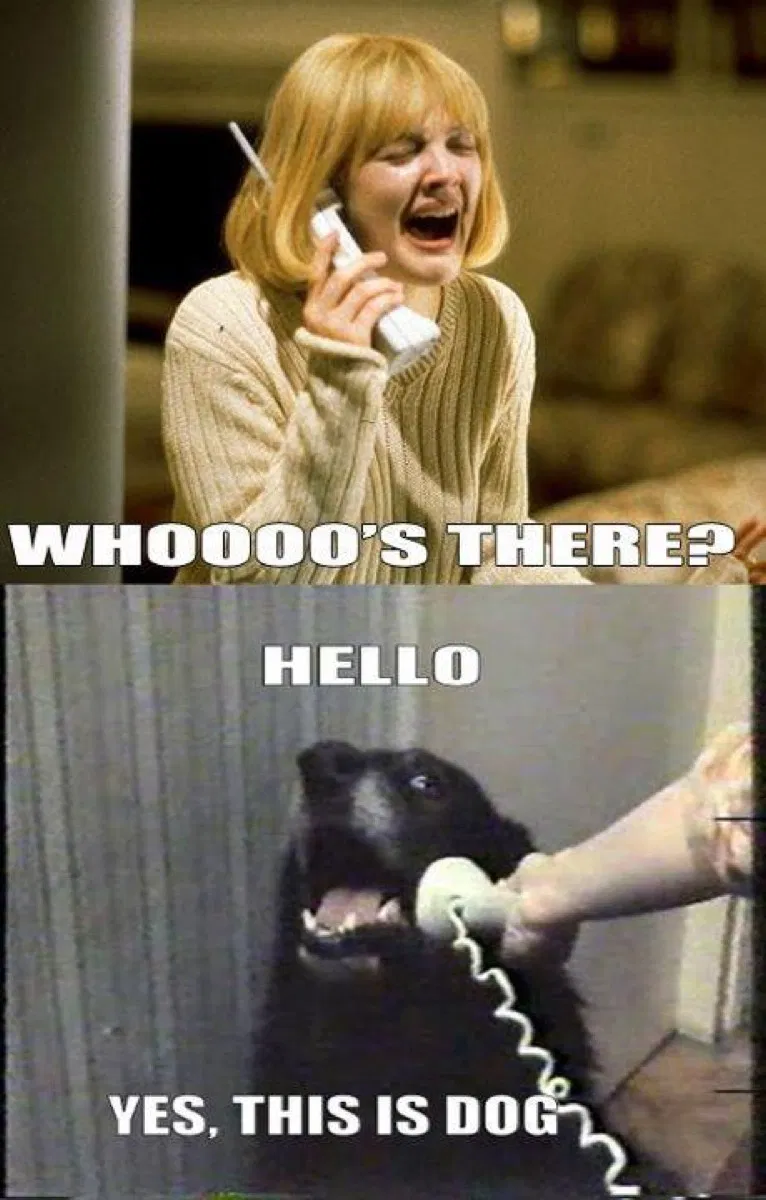 Hello yes. Yes this is Dog. Hello this is Dog. Hello Yes this is Dog. Hello Yes Мем.